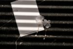 DSC09381