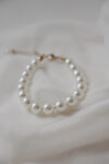 6BEEC8E0-664E-4D0B-B3B2-A246B2195060