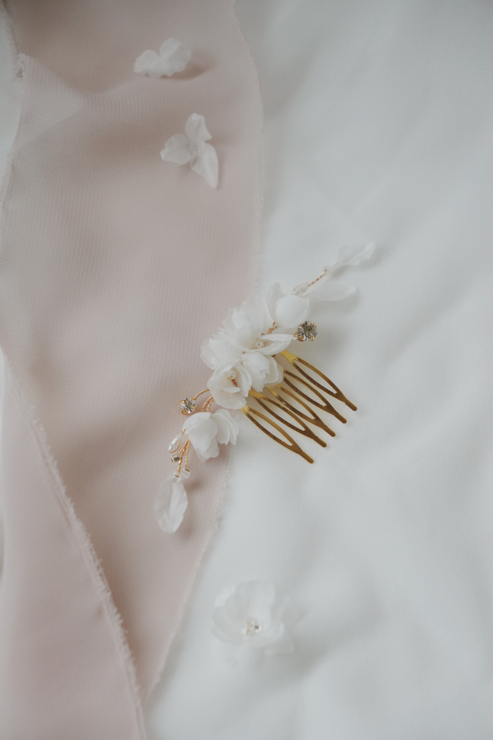 BF341CCB-674E-4F49-B3BF-395DF29EBA77